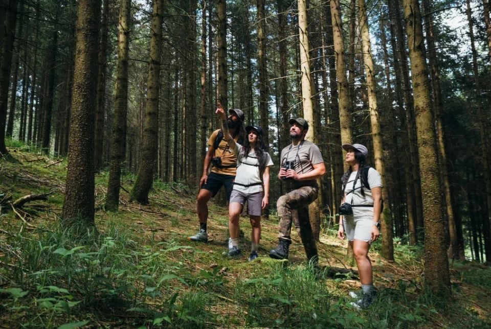 Cách Chọn Giày Leo Núi Phù Hợp: Hướng Dẫn Chi Tiết Cho Mọi Cấp Độ Người Đi Hiking