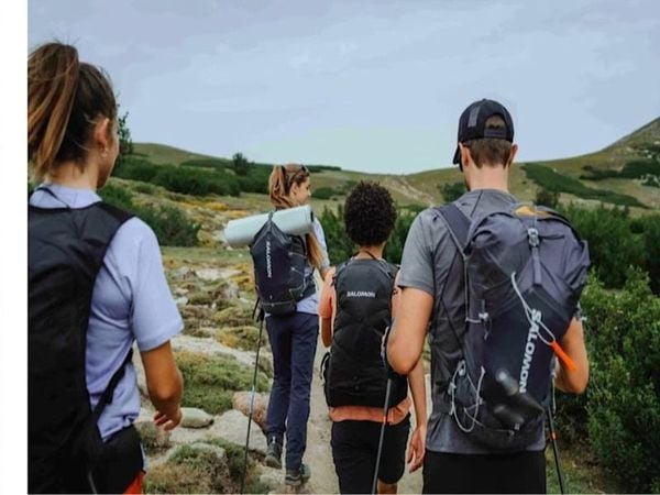 https://vn.salomon.com/collections/giay-outdoor