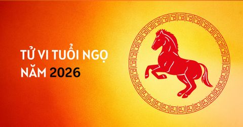 TỬ VI TUỔI CANH NGỌ NĂM 2026