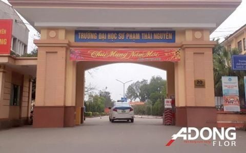 Hoàn Thiện Nhà Thi Đấu Đa Năng Chuẩn Quốc Tế Tại Trường ĐH Sư Phạm Thái Nguyên