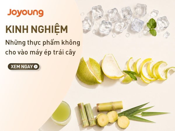 Những thực phẩm không cho vào máy ép trái cây