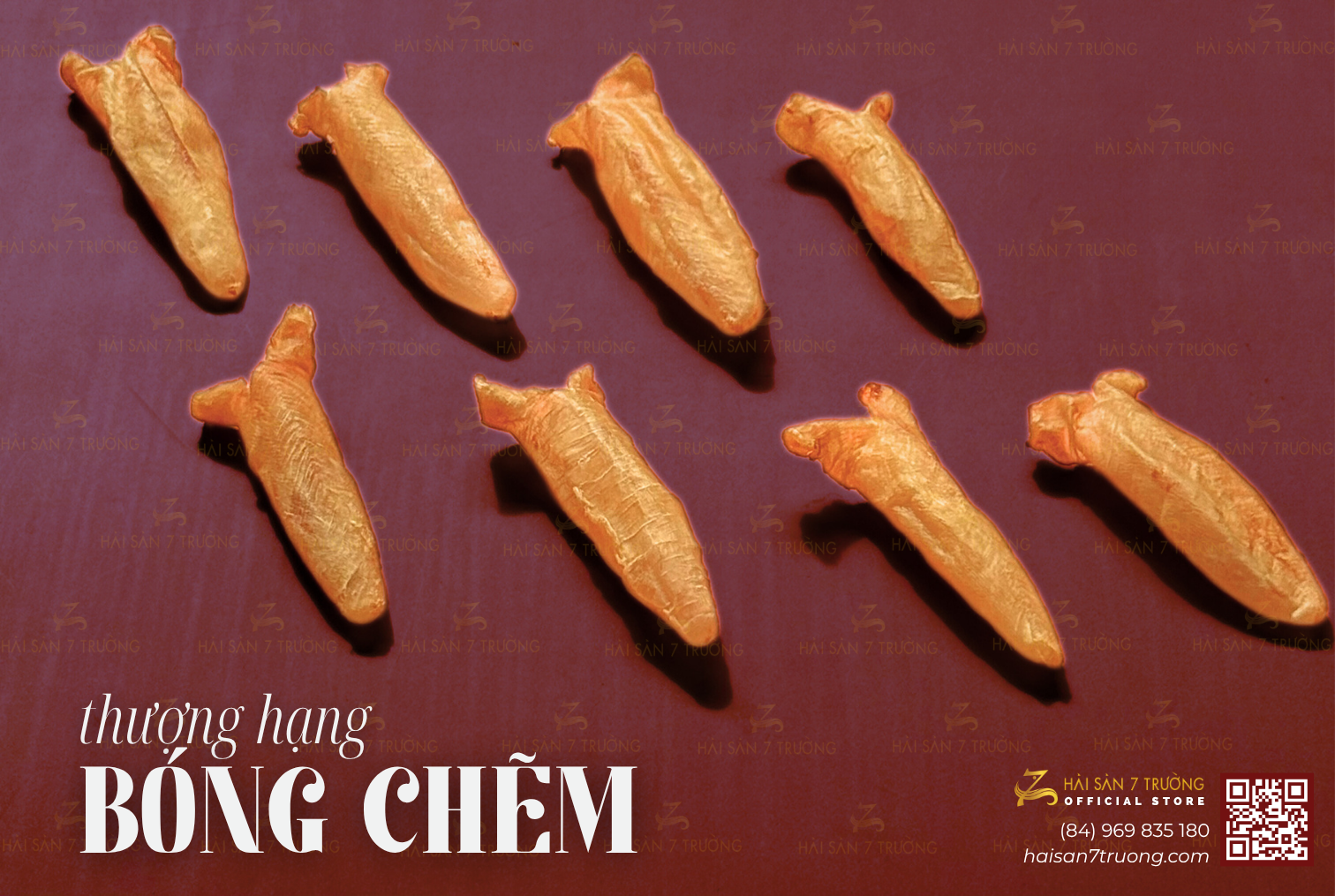 BÓNG CÁ - BÀI THUỐC QUÝ CHO XƯƠNG KHỚP (Fish maw Nutrion)