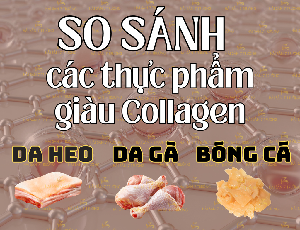 So Sánh Giá trị dinh dưỡng của các thực phẩm giàu COLLAGEN: Bóng Cá; Da Gà; Da heo