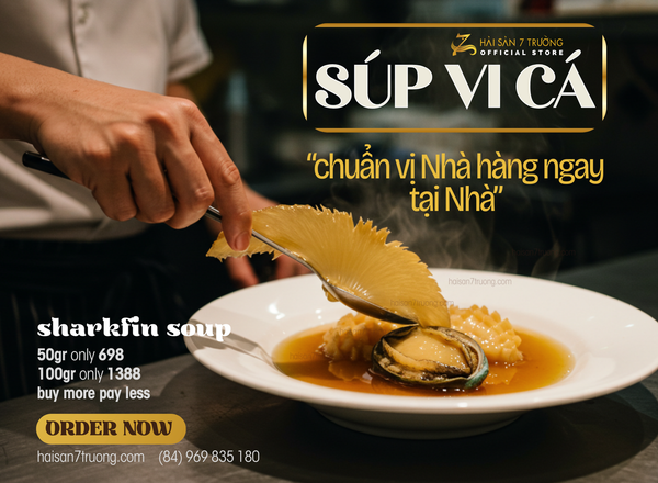 CÁCH CHẾ BIẾN SÚP VI CÁ THƠM NGON TẠI NHÀ