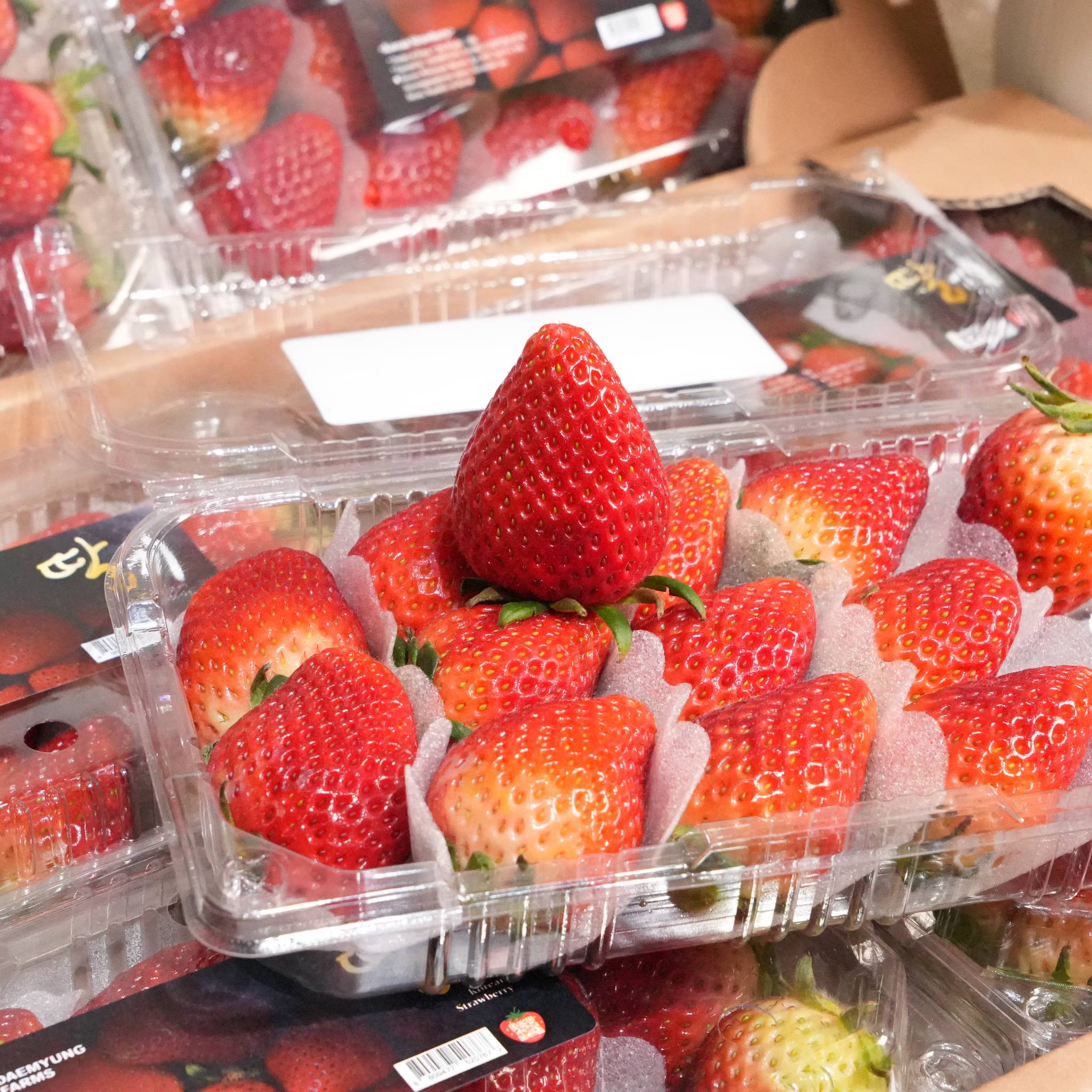 Trái Cây Tươi Bình Dương – Sự Lựa Chọn Cho Cuộc Sống Lành Mạnh