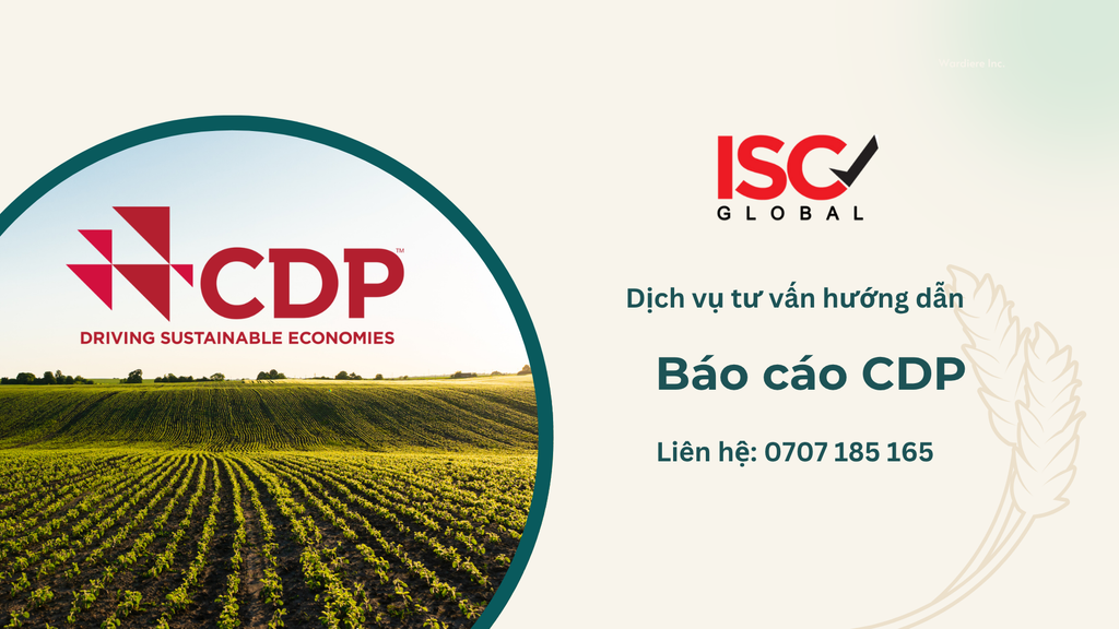 Báo cáo CDP (Carbon Disclosure Project): Yêu cầu Bắt buộc từ Chuỗi cung ứng và Nhà đầu tư?