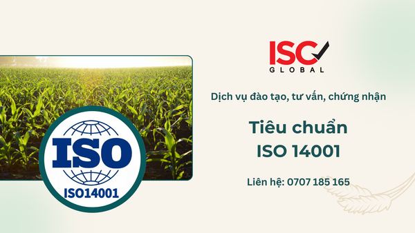 ISO 14001: Nền Tảng Kỹ Thuật Vững Chắc Cho Chiến Lược Môi Trường Trong Phát Triển Bền Vững