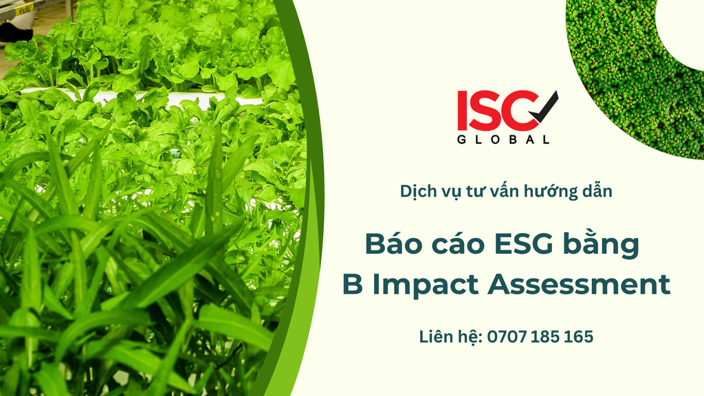 B Impact Assessment (BIA): Công Cụ Đánh Giá Toàn Diện Cho Chiến Lược ESG Của Doanh Nghiệp