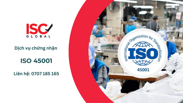 ISO 45001: Trụ cột Hệ thống hóa chữ 