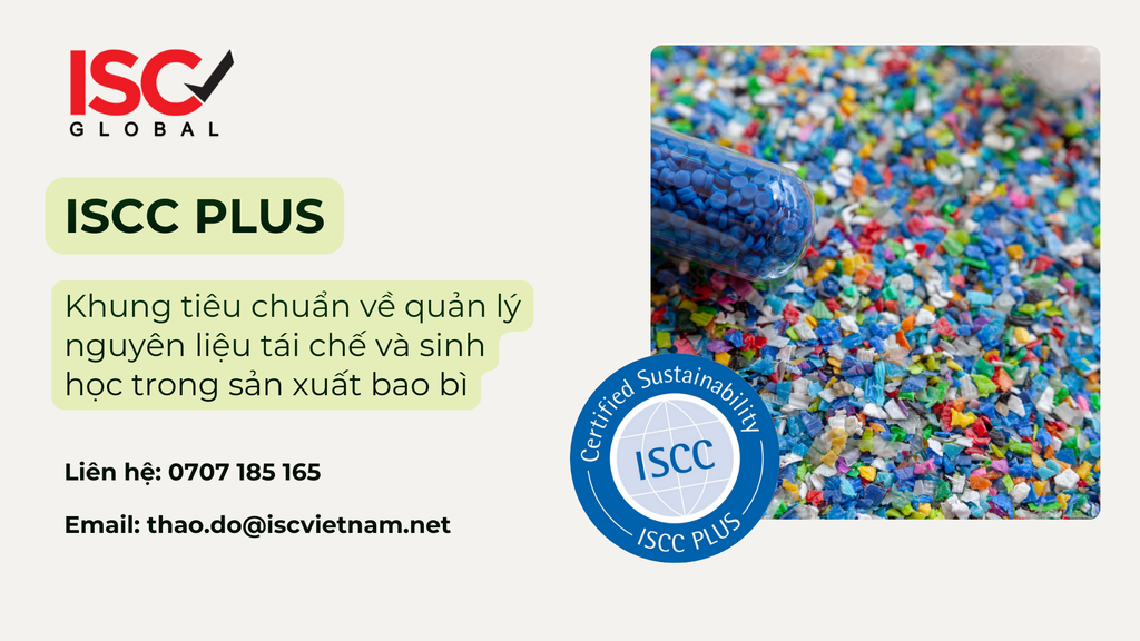 ISCC PLUS: Khung tiêu chuẩn về quản lý nguyên liệu tái chế và sinh học trong sản xuất bao bì