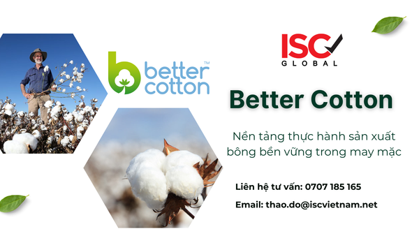 Giới thiệu về Better Cotton và ứng dụng trong ngành dệt may bền vững