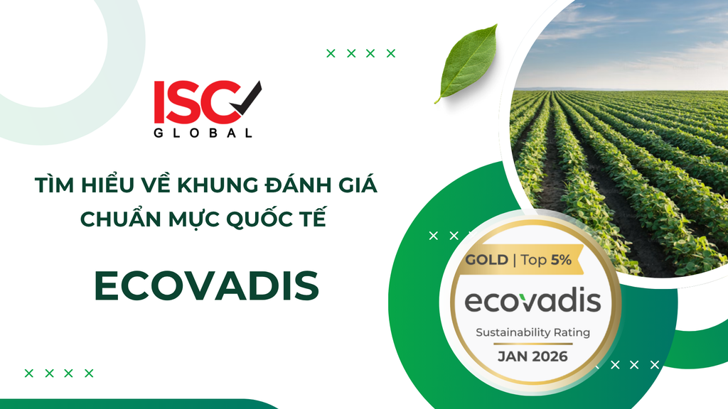 BÀI 2: TÌM HIỂU VỀ KHUNG ĐÁNH GIÁ CHUẨN MỰC QUỐC TẾ - XẾP HẠNG DOANH NGHIỆP ECOVADIS - DỊCH VỤ TƯ VẤN TỪ ISC