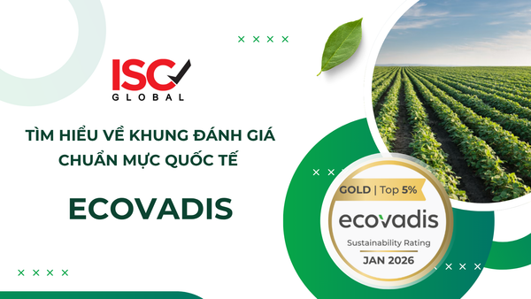 BÀI 2: TÌM HIỂU VỀ KHUNG ĐÁNH GIÁ CHUẨN MỰC QUỐC TẾ - XẾP HẠNG DOANH NGHIỆP ECOVADIS - DỊCH VỤ TƯ VẤN TỪ ISC