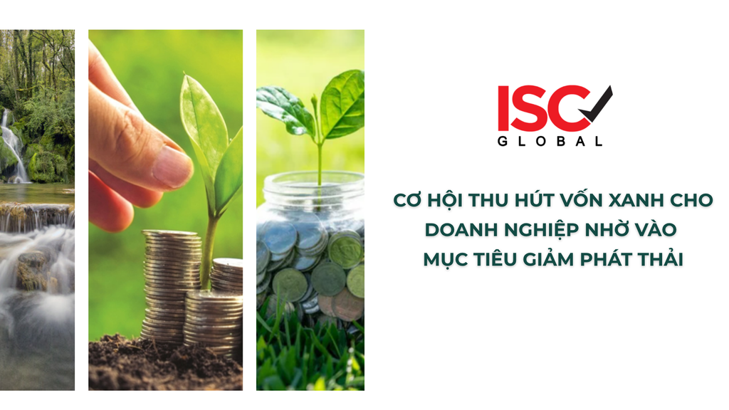 Cơ hội thu hút vốn xanh cho doanh nghiệp việt nam nhờ vào mục tiêu giảm phát thải