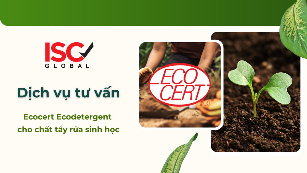Dịch vụ tư vấn chứng nhận Ecocert Ecodetergent - Tiêu chuẩn quốc tế uy tín cho sản phẩm tẩy rửa sinh học
