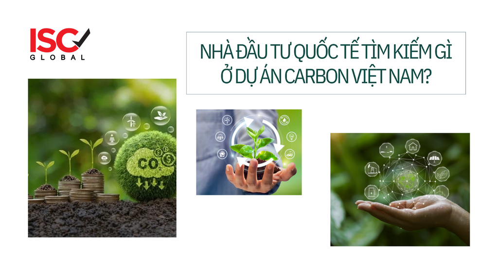NHÀ ĐẦU TƯ QUỐC TẾ TÌM KIẾM GÌ Ở DỰ ÁN CARBON VIỆT NAM?