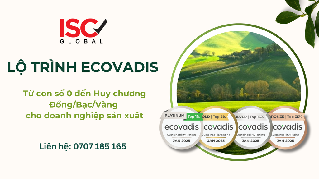Lộ trình thực chiến: Từ con số 0 đến Huy chương Đồng/Bạc/Vàng EcoVadis cho doanh nghiệp sản xuất