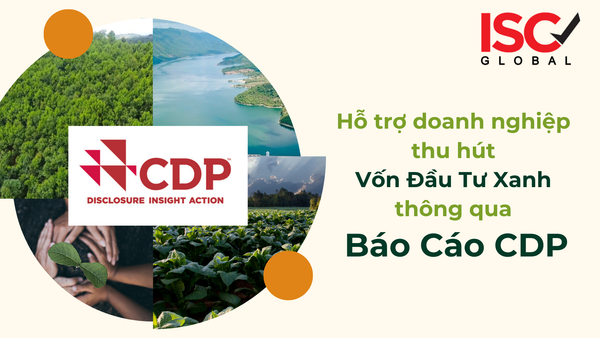Thu hút Vốn Đầu Tư Xanh thông qua báo cáo CDP