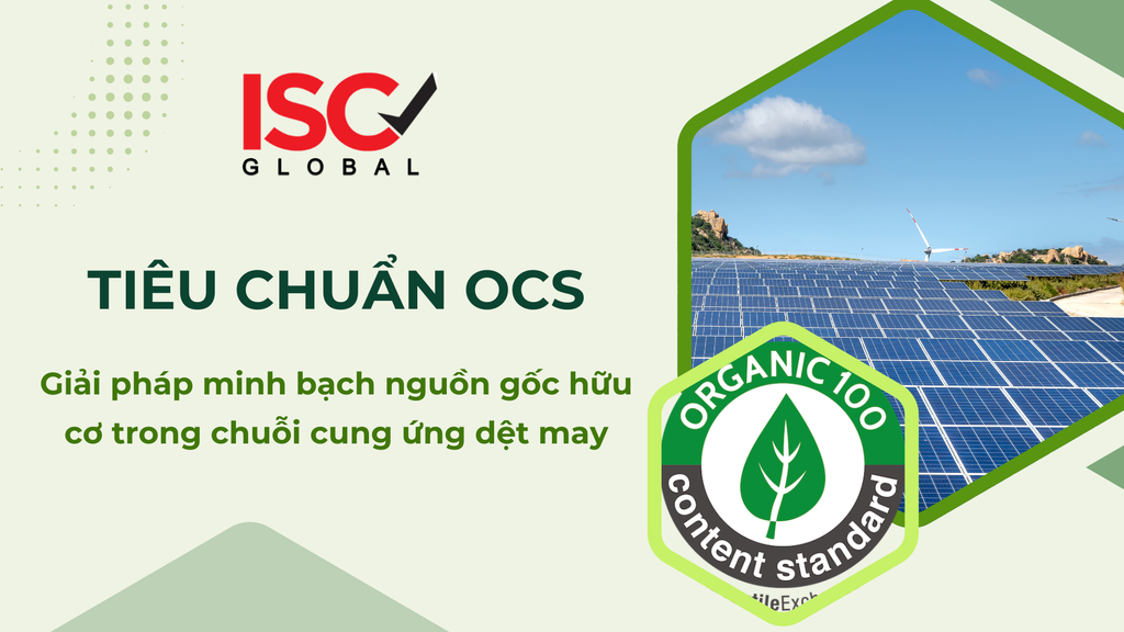 Chứng nhận OCS (Organic Content Standard): Giải pháp minh bạch nguồn gốc hữu cơ trong chuỗi cung ứng dệt may