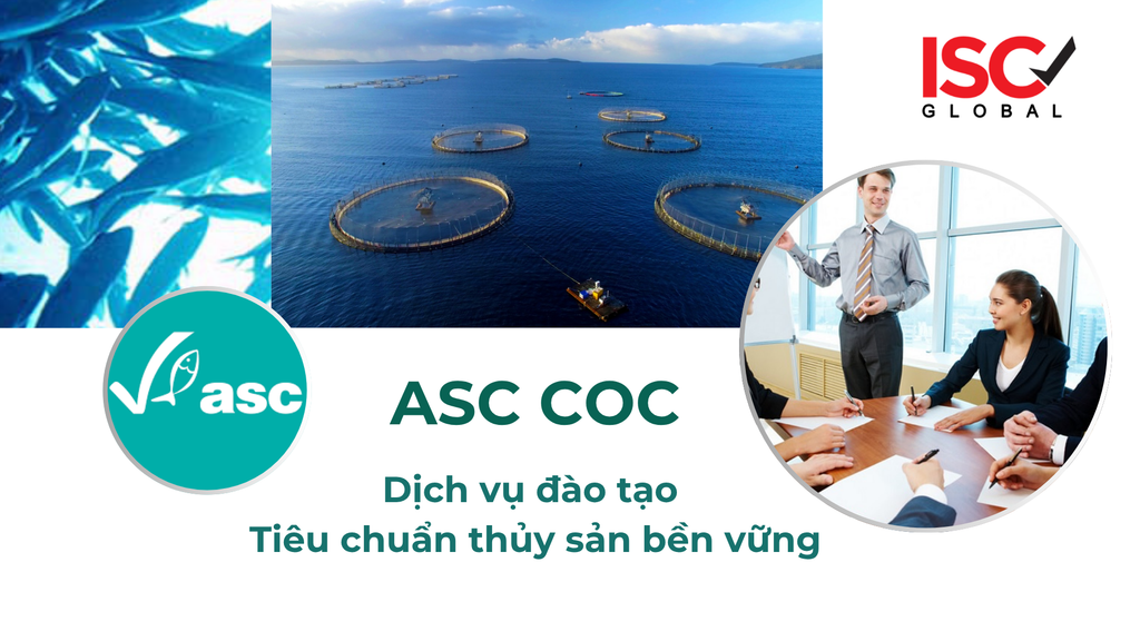 Nắm Vững Tiêu Chuẩn ASC CoC - Chìa Khóa Mở Cửa Thị Trường Thủy Sản Bền Vững Toàn Cầu