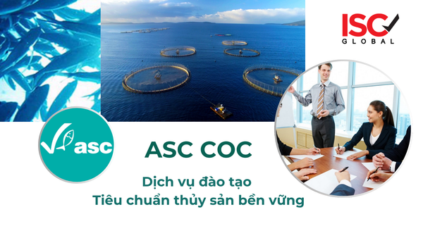 Nắm Vững Tiêu Chuẩn ASC CoC - Chìa Khóa Mở Cửa Thị Trường Thủy Sản Bền Vững Toàn Cầu