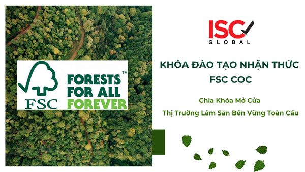Nắm Vững Tiêu Chuẩn FSC CoC - Chìa Khóa Mở Cửa Thị Trường Lâm Sản Bền Vững Toàn Cầu