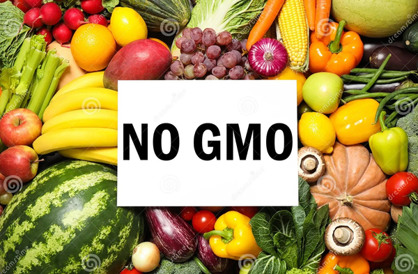 HƯỚNG DẪN TOÀN DIỆN VỀ THỰC PHẨM KHÔNG BIẾN ĐỔI GEN VÀ CHỨNG NHẬN NON-GMO