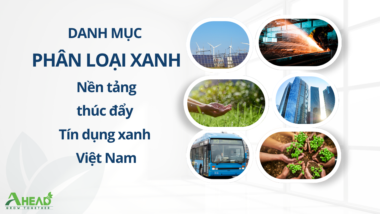 Danh mục Phân loại xanh – Nền tảng thúc đẩy Tài chính Xanh tại Việt Nam