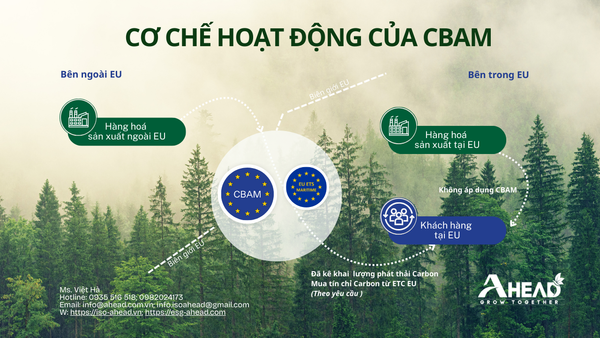 CBAM EU bước vào giai đoạn mới (2026): Doanh nghiệp Việt cần biết gì?