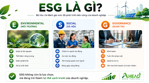 ESG Có Phải Chỉ Dành Cho Doanh Nghiệp Lớn? Doanh nghiệp Vừa Và Nhỏ Bắt Đầu Từ Đâu?