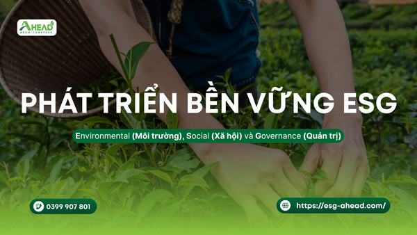 Tổng quan về ESG và Xếp hạng Phát triển bền vững tại Việt Nam