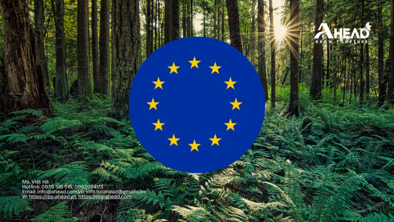 Xuất khẩu Việt Nam trước các điều chỉnh chính sách nhập khẩu của EU giai đoạn 2026 – 2030