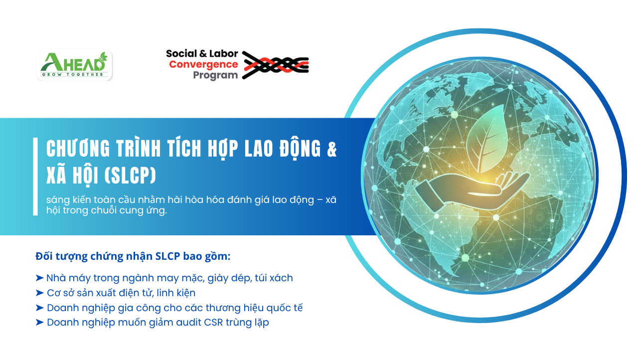 SLCP là gì? Hướng dẫn đầy đủ về đánh giá SLCP và lợi ích cho doanh nghiệp