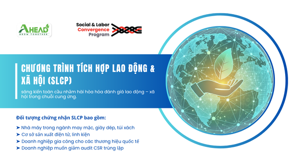 SLCP là gì? Hướng dẫn đầy đủ về đánh giá SLCP và lợi ích cho doanh nghiệp