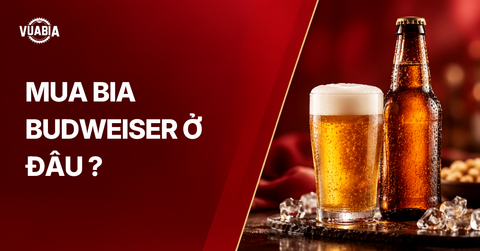 Mua bia Budweiser ở đâu để an tâm chọn hàng chính hãng