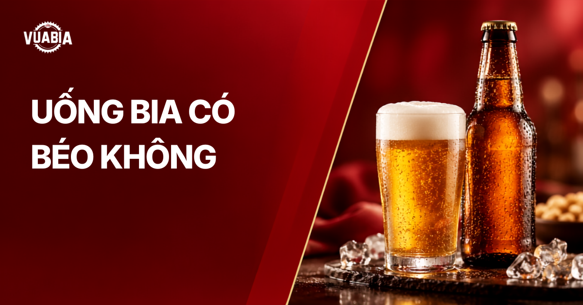 Uống bia có béo không? Vì sao dễ béo bụng và cách hạn chế tăng cân