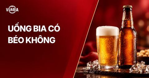 Uống bia có béo không? Vì sao dễ béo bụng và cách hạn chế tăng cân