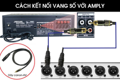 Cách kết nối vang số với amply cục đẩy đúng chuẩn