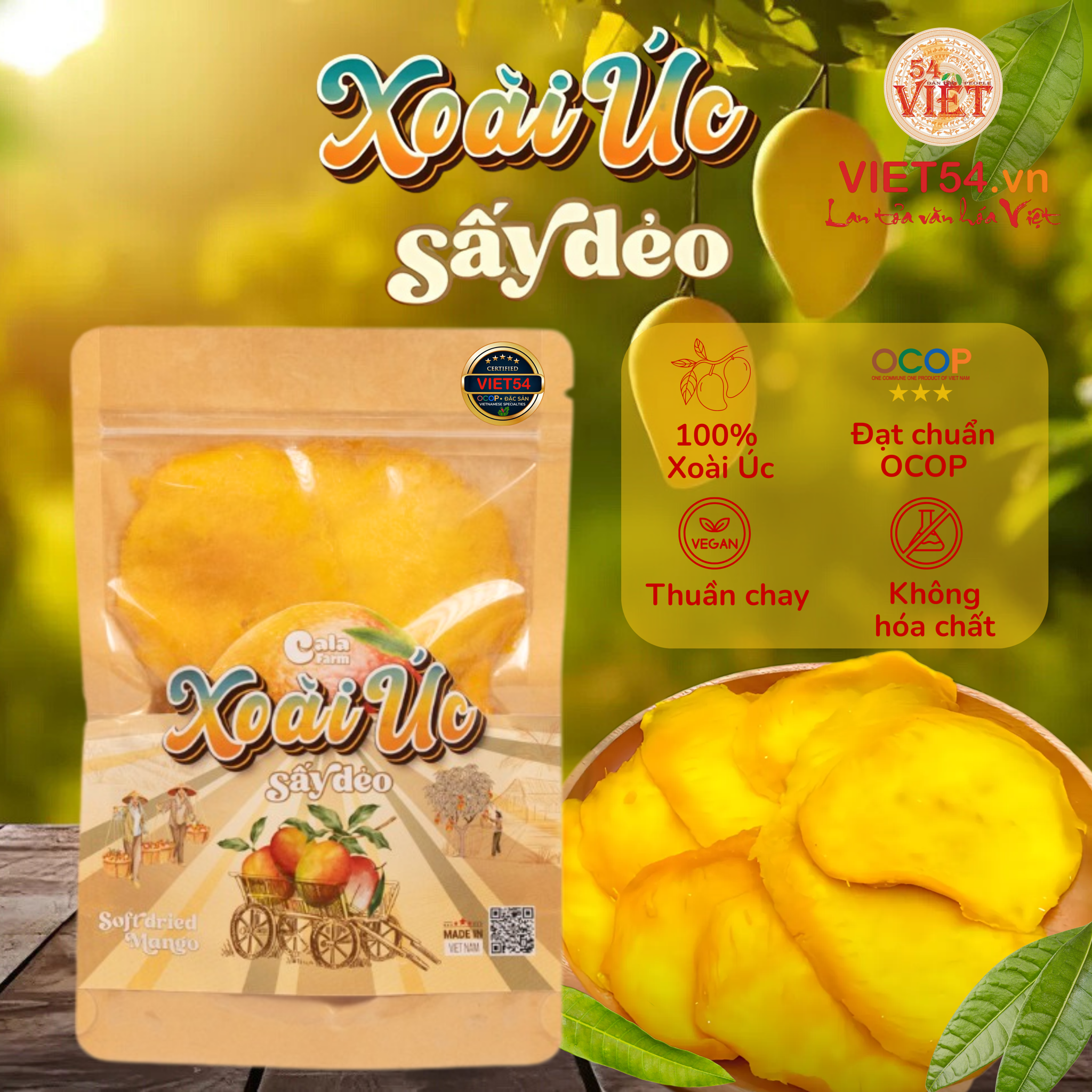 XOÀI SẤY DẺO CHUẨN VỊ TỰ NHIÊN