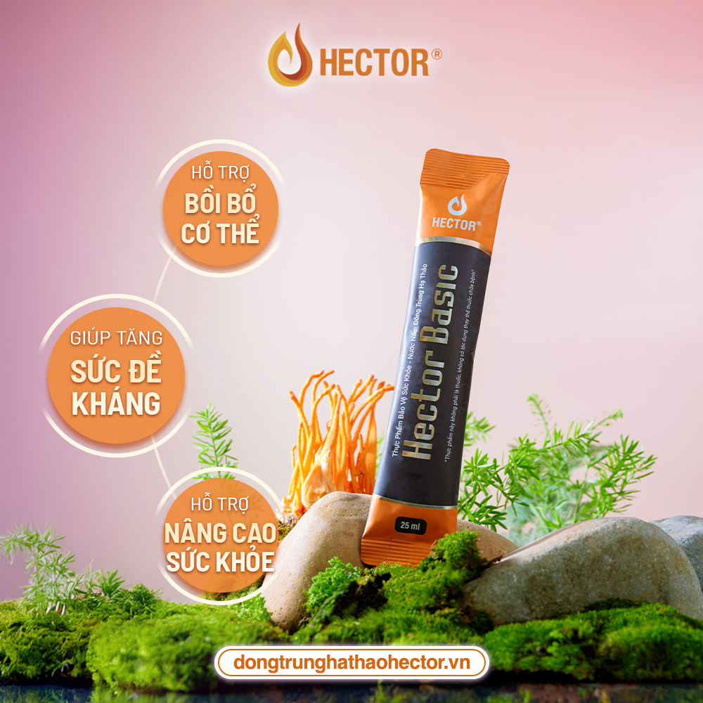 ĐÔNG TRÙNG HẠ THẢO HECTOR – 3 PHIÊN BẢN CHO 3 PHONG CÁCH SỐNG HIỆN ĐẠI