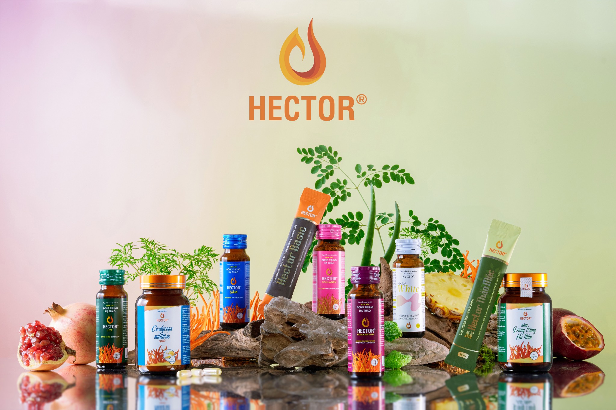 TINH HOA THẢO DƯỢC VIỆT NAM TRONG PHIÊN BẢN HIỆN ĐẠI
