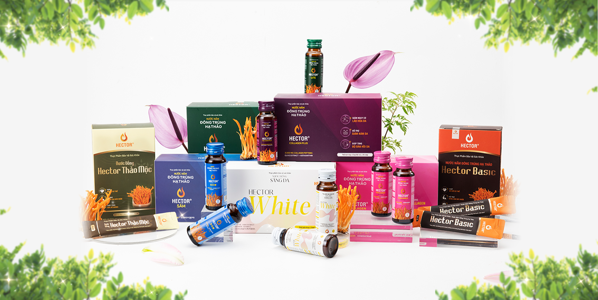Sản phẩm Hector