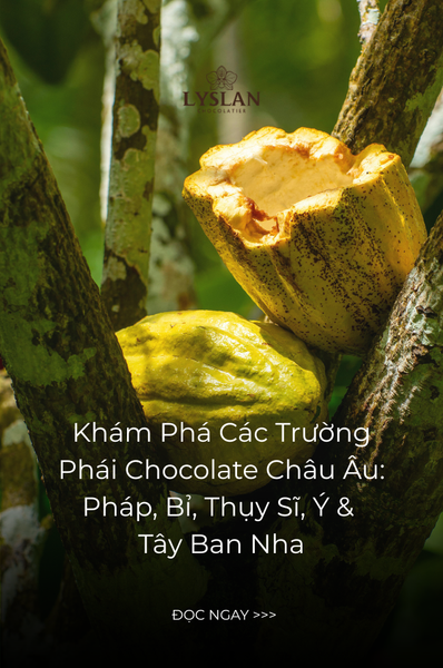 Khám Phá Các Trường Phái Chocolate Châu Âu: Pháp, Bỉ, Thụy Sĩ, Ý & Tây Ban Nha