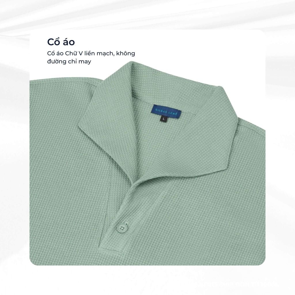 mô tả cổ áo polo palma