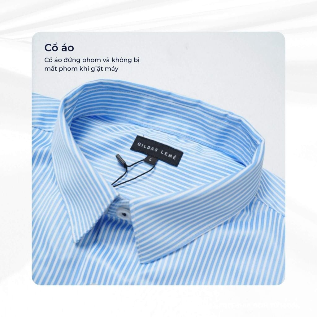 Mô tả cổ áo sơ mi kẻ sọc Striped Riviera