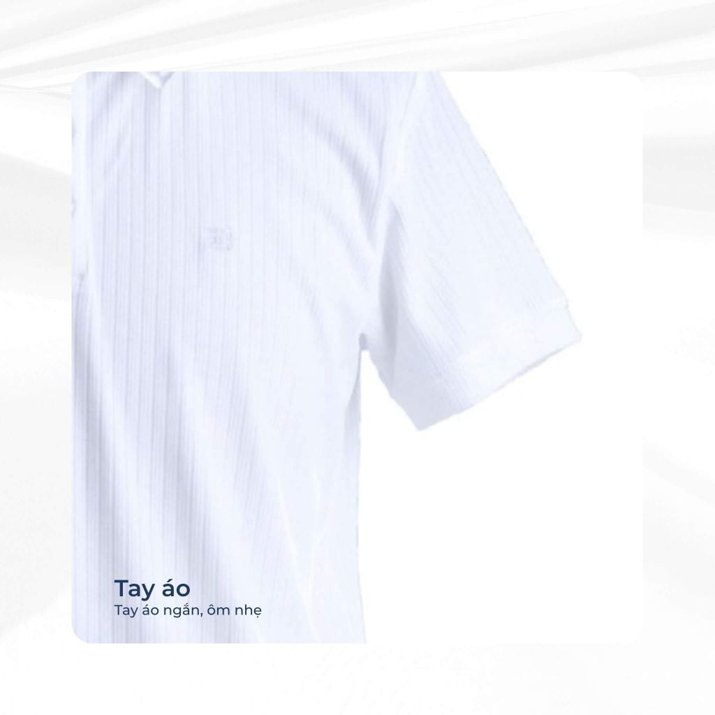 mô tả tay áo polo gassin