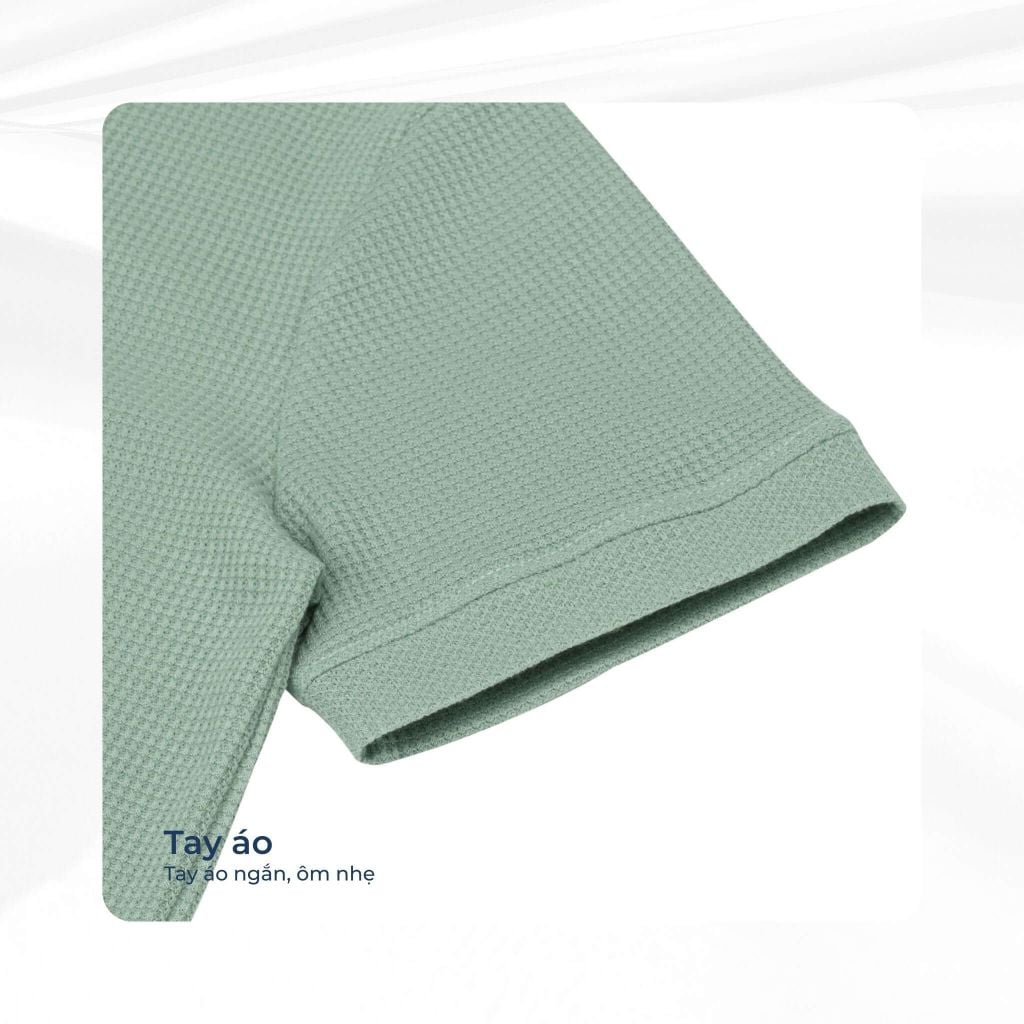 mô tả tay áo polo palma