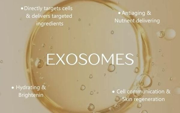 Exosomes chống lão hóa: Tương lai của giao tiếp tế bào