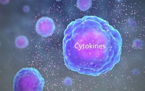 Cytokine và Lão hóa do viêm da mãn tính, Cơ chế inflammaging