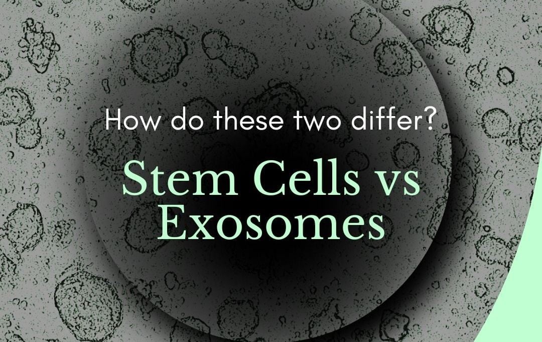 Exosomes hay tế bào gốc: Đâu là tương lai của phục hồi da?